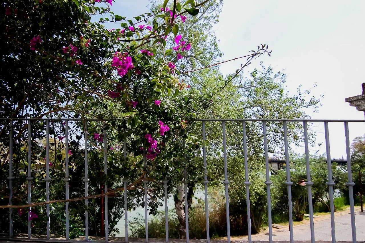 Misterhost Triana Patio De Las Flores Seville Apartment