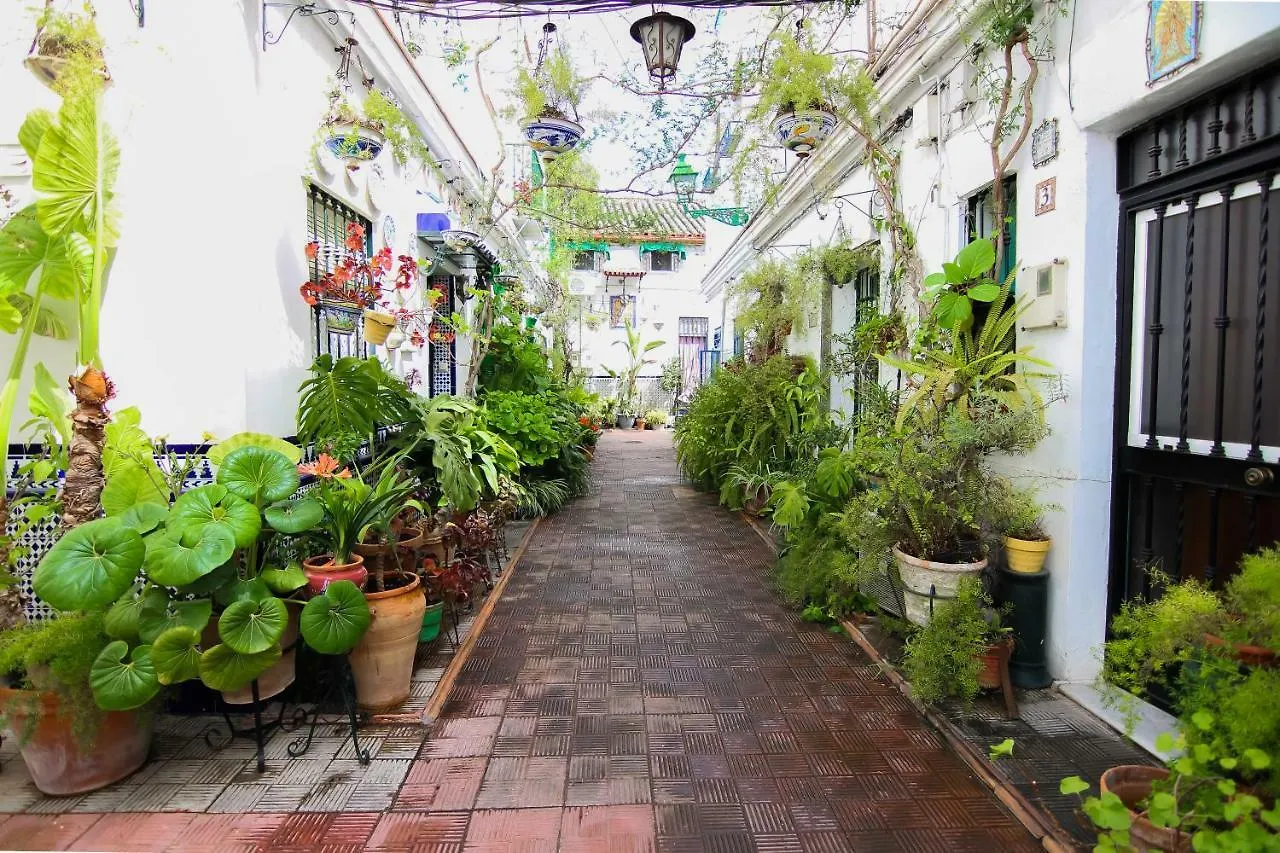 Misterhost Triana Patio De Las Flores Seville 0*,  Spain