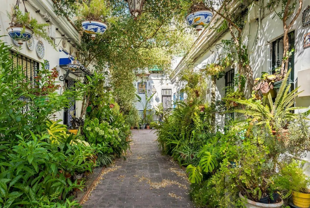 Misterhost Triana Patio De Las Flores Apartment Seville